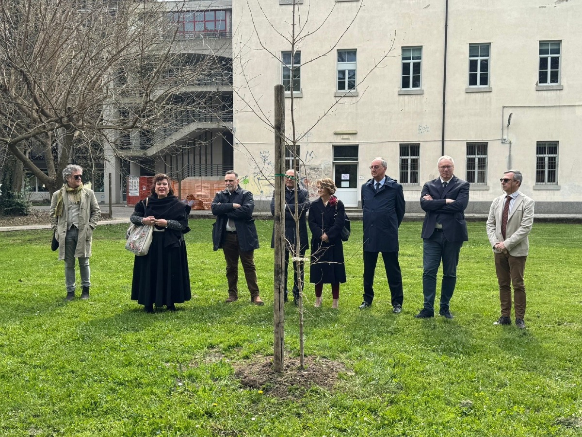 Legalità e memoria, il liceo Copernico di Udine in prima linea: piantato l’Albero della legalità - 