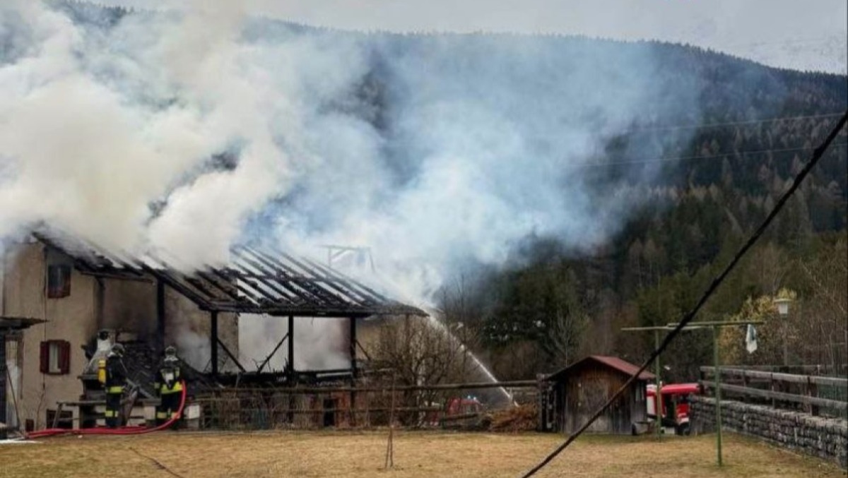 Furioso incendio in casa: un uomo e il suo cane salvi per miracolo | FOTO - 