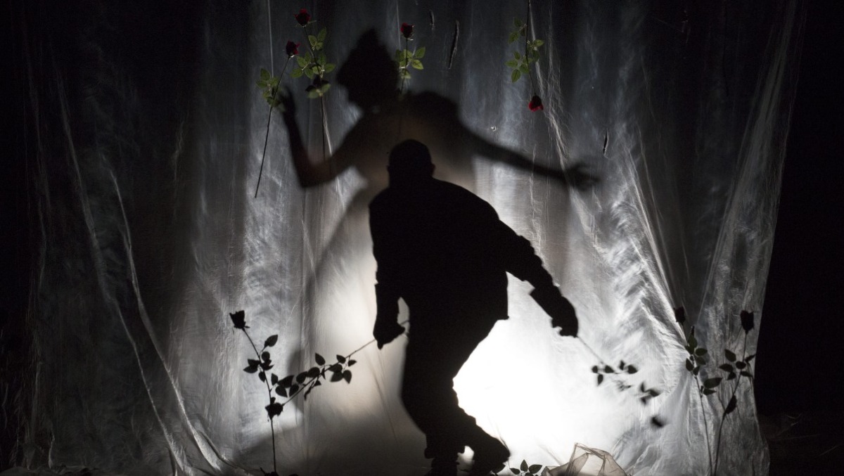 Portogruaro, spettacolo per famiglie: al Russolo arriva “La bella o la bestia" - 