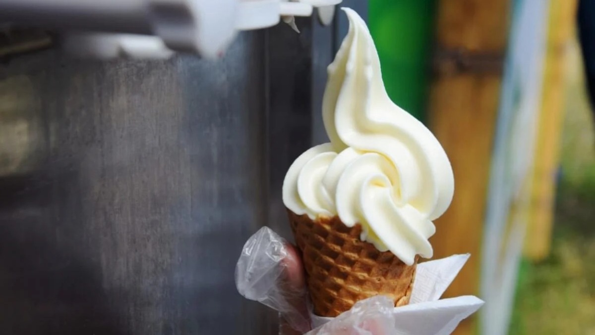 Gelato Day, 224 attività artigianali nella Marca: come riconoscere quello buono - 