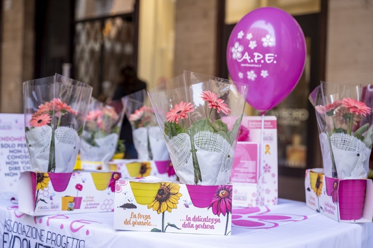 Endometriosi, Udine in prima linea: arriva “I Fiori della Consapevolezza” - 