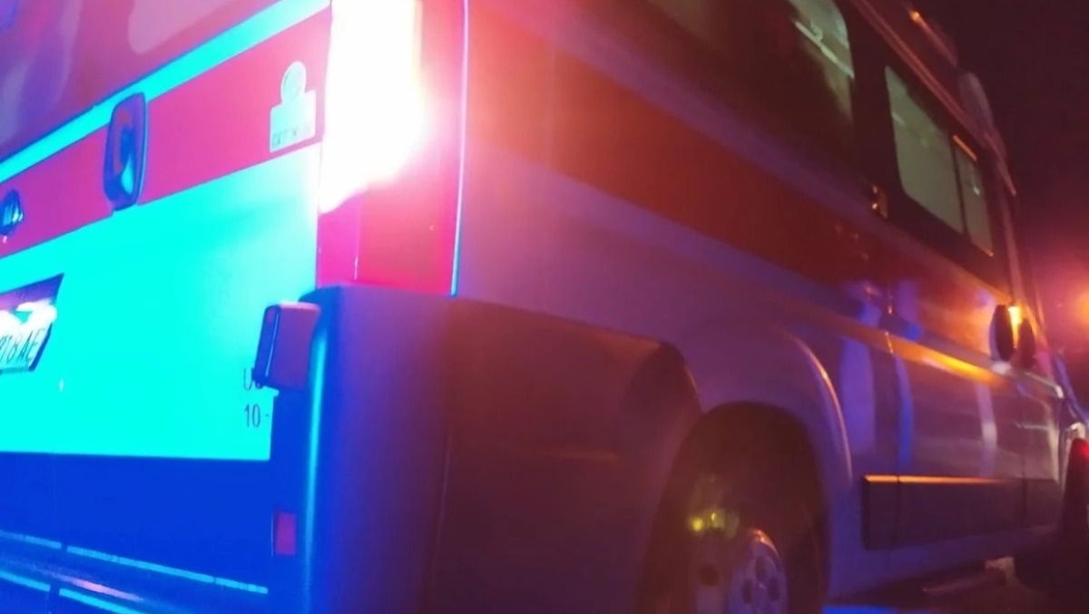 Moto investe un cervo: animale morto sul colpo, centauro grave in ospedale - 