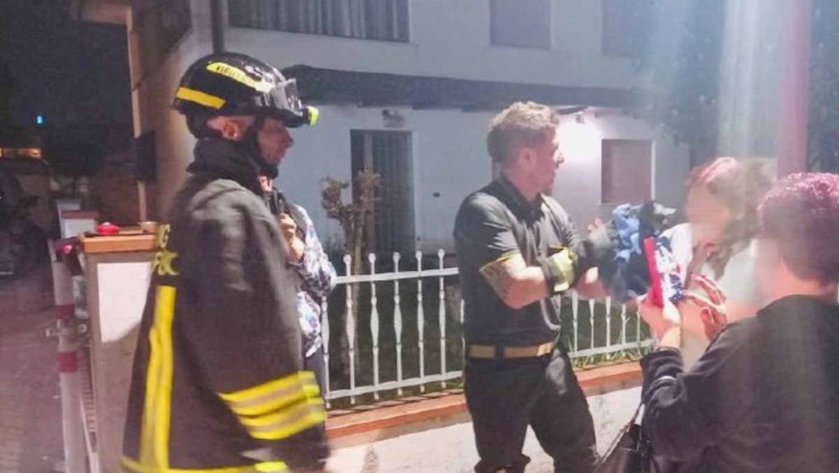 Gattino incastrato in un pozzetto: salvato dai Vigili del Fuoco, sospiro di sollievo - 