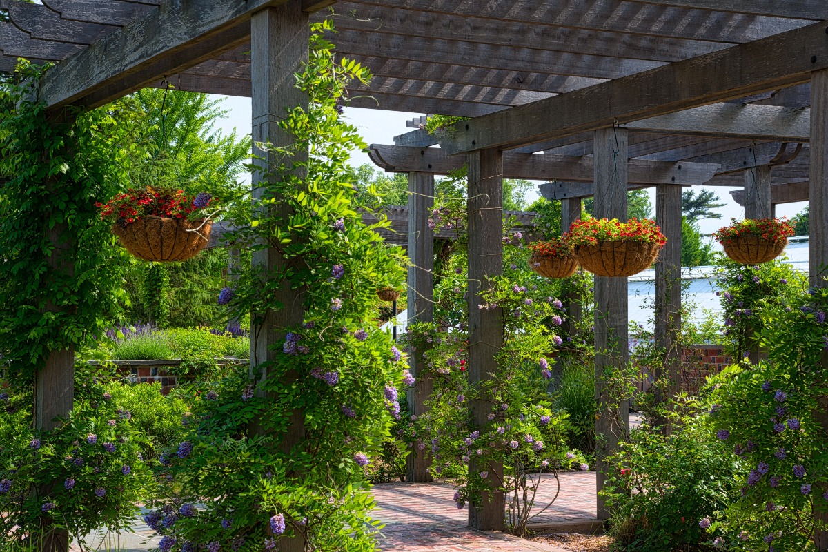 Come proteggere il giardino dal vento? - 