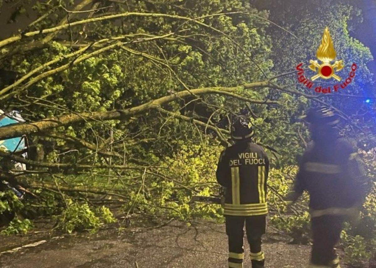 Fronte freddo e raffiche oltre i 100 km/h: tutti i numeri del maltempo che ha colpito il FVG - 
