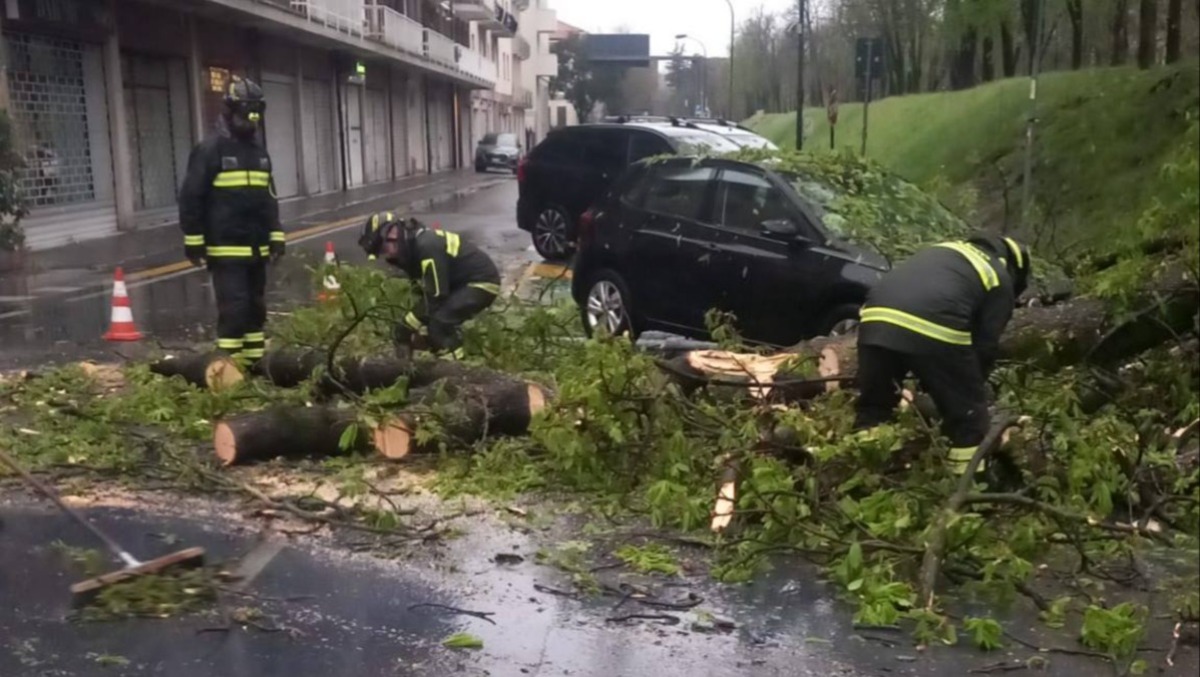 Notte di maltempo nel Trevigiano: «danni per il forte vento, alberi caduti e un incendio» - interventi da parte dei Vigili del Fuoco
