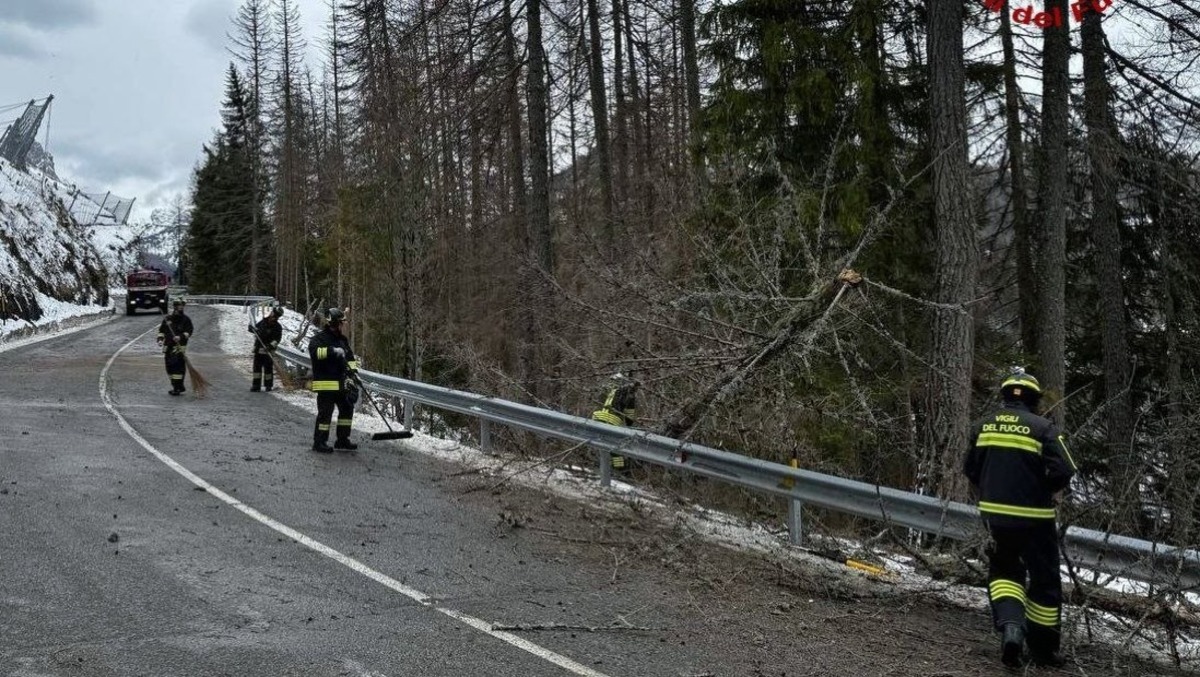 Emergenza vento in Veneto: "alberi caduti e lamiere divelte, oltre 150 interventi" - 