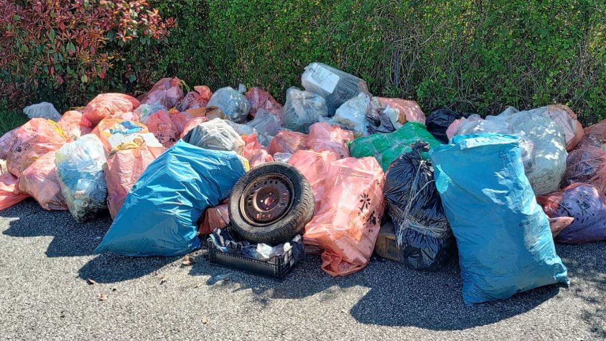 «Oltre 500 kg di rifiuti raccolti»: volontari in prima linea a Campoformido - 