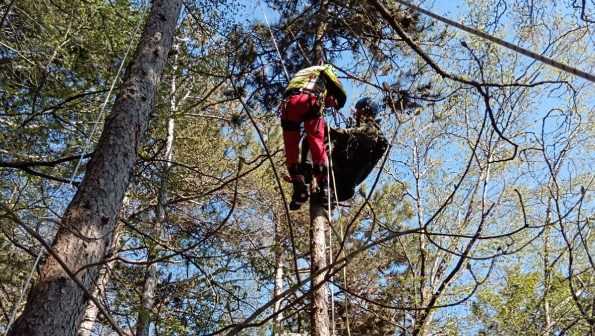 Parapendio finisce su un albero: recuperato pilota sospeso a 10 metri - 