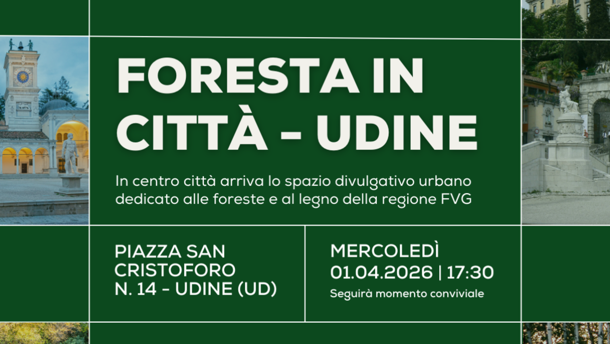 Udine inaugura “Foresta in città”: il nuovo spazio dedicato al legno e alla sostenibilità - 