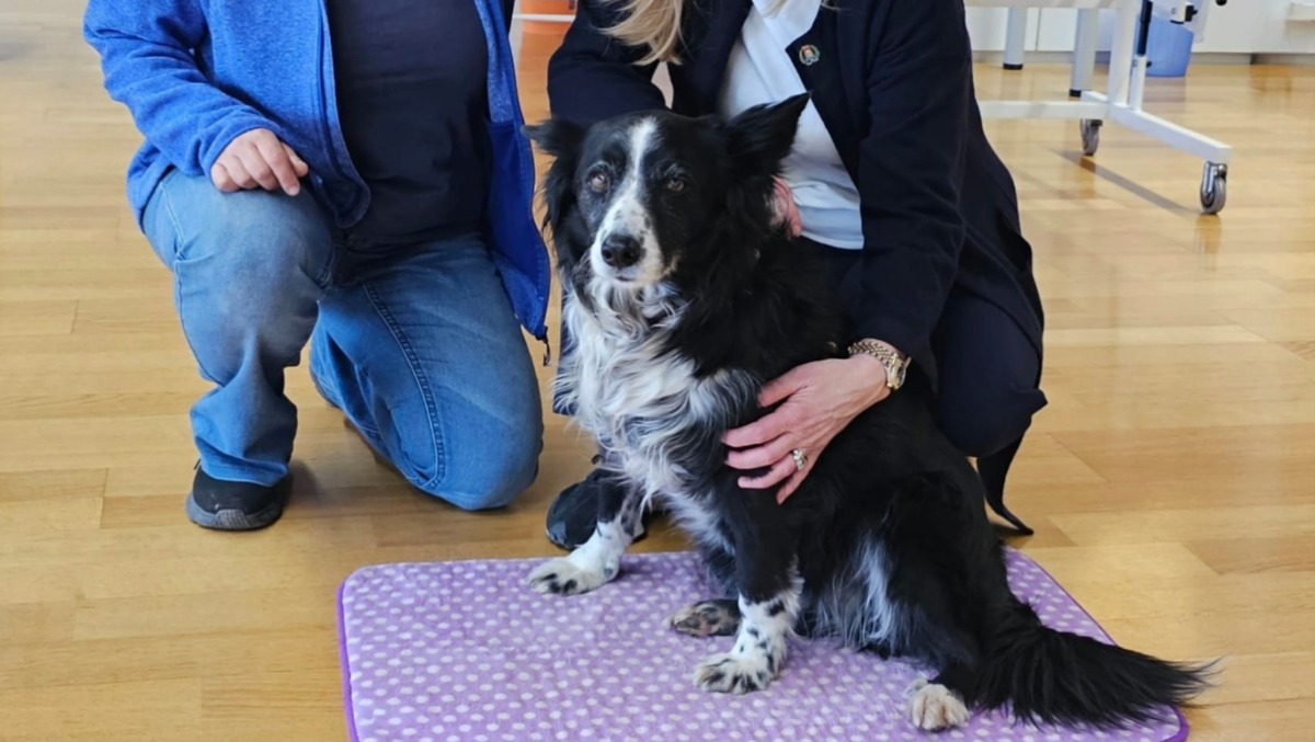 Pet therapy a Pordenone: Lola fa sorridere gli anziani della casa di riposo - 