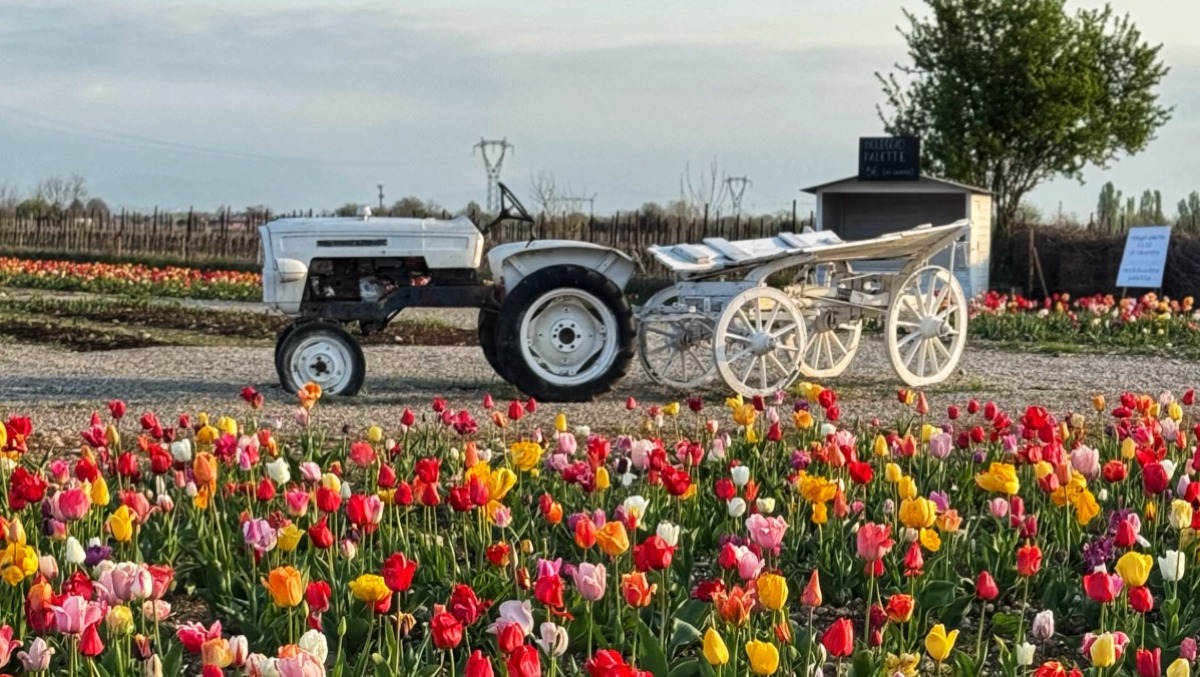 Pasqua e Pasquetta imperdibili da Nonno Andrea: weekend di eventi tra i fiori - 