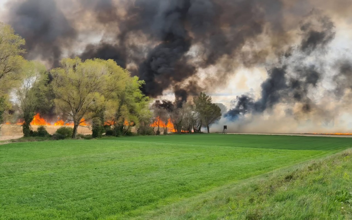 Maxi incendio di sterpaglie nei campi: colonna di fumo visibile da chilometri