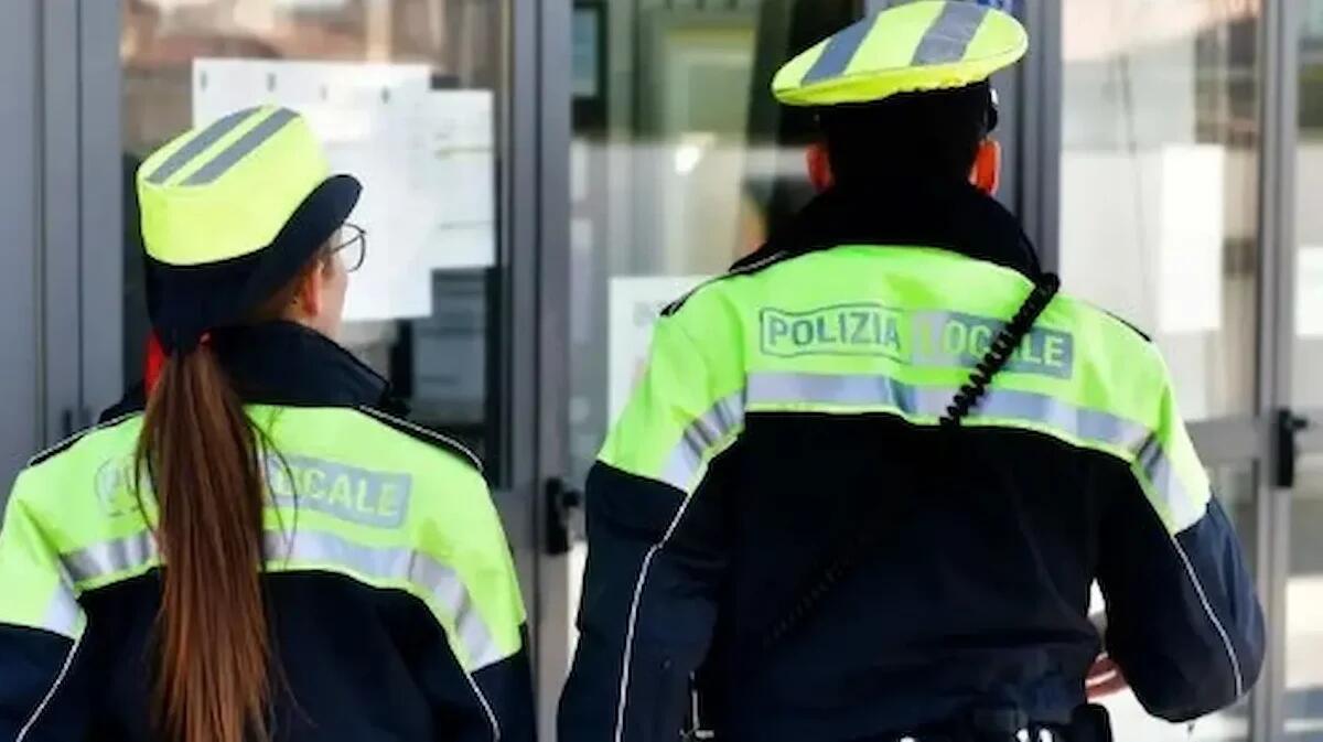Blitz in Friuli: sequestrata droga destinata agli studenti - 