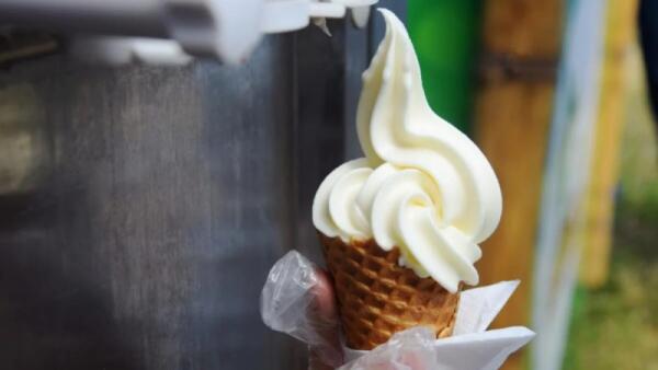 Gelato Day, 224 attività artigianali nella Marca: come riconoscere quello buono
