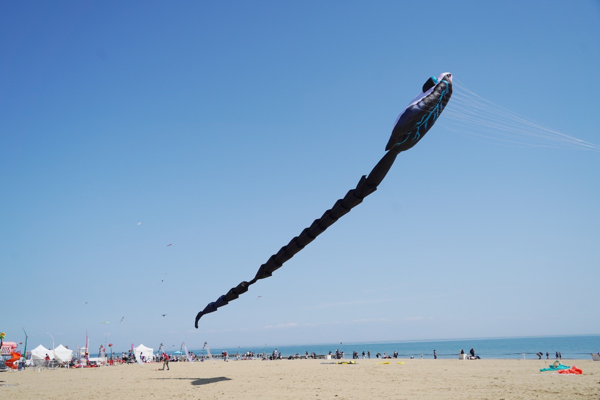 LE FOTO DELLA SCORSA EDIZIONE