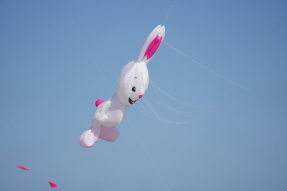 LE FOTO DELLA SCORSA EDIZIONE