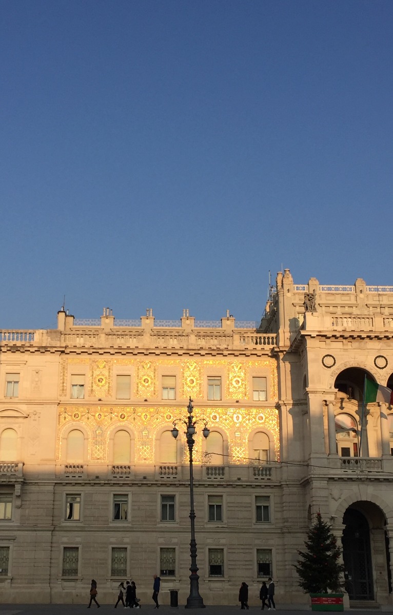 Galleria del 12/03/2026 14:24