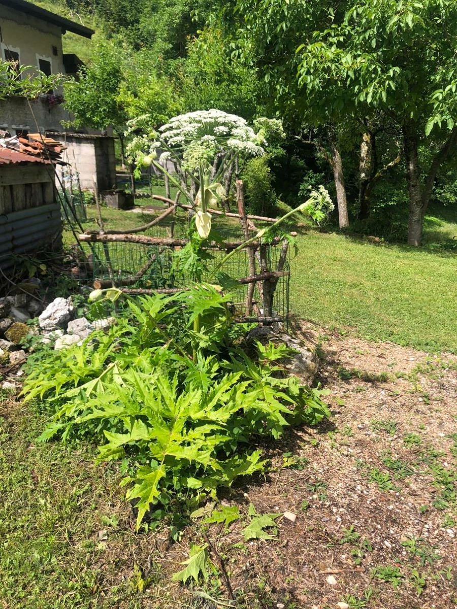 Galleria del 17/03/2026 13:26