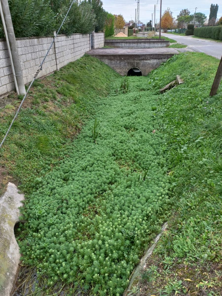 Galleria del 17/03/2026 13:26