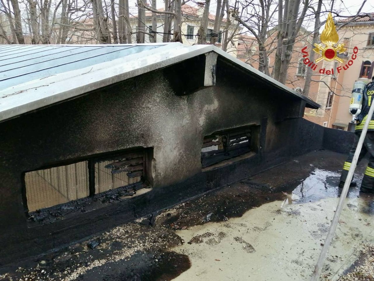 INCENDIO SUL TETTO DEL PADIGLIONE DELLA SERBIA ALLA BIENNALE DI VENEZIA