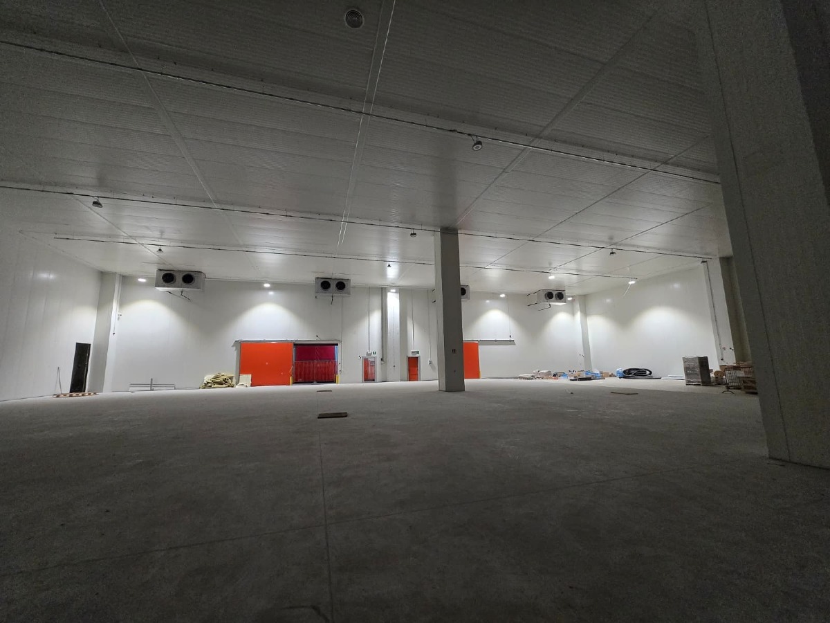 Galleria del 18/03/2026 14:47