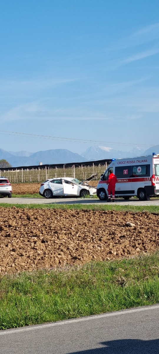 Galleria del 20/03/2026 09:29