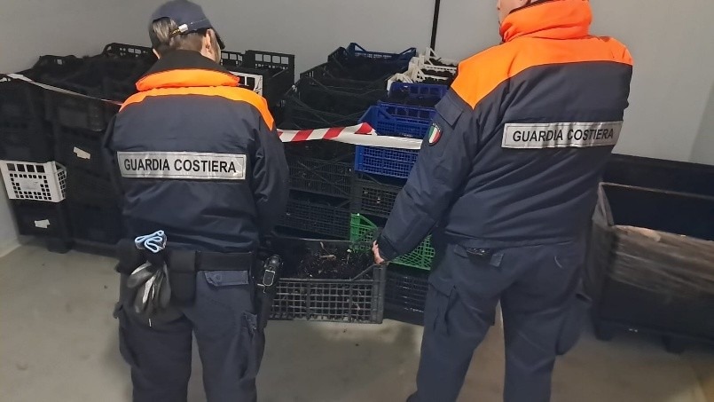 Guardia Costiera di Trieste contro la pesca e commercializzazione abusiva di ricci di mare.