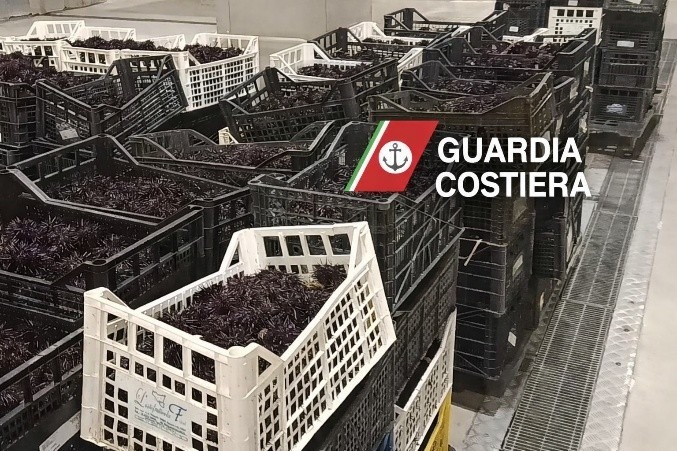 Guardia Costiera di Trieste