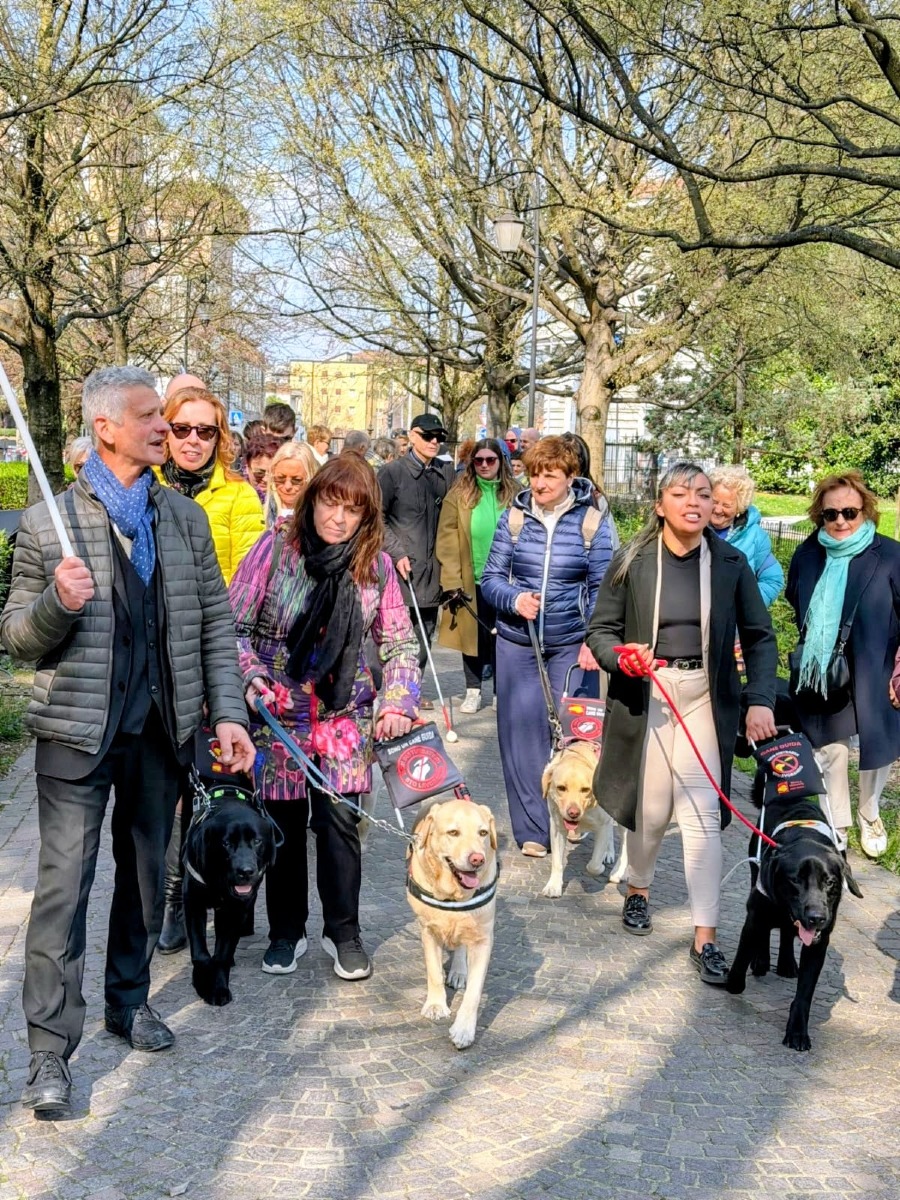 Cani guida, a Padova quattro nuove storie di autonomia