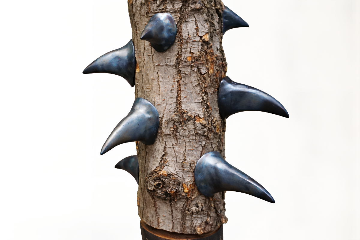 Galleria del 23/03/2026 08:51