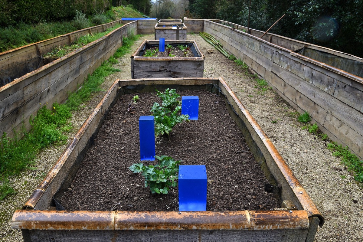 Design in Villa 2026