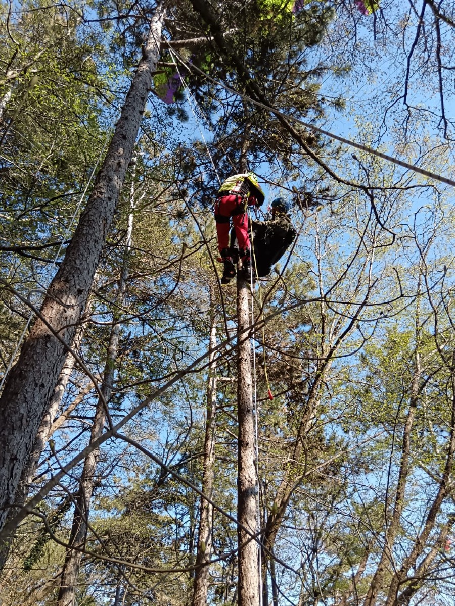 Recuperato pilota di parapendio sospeso su una pianta