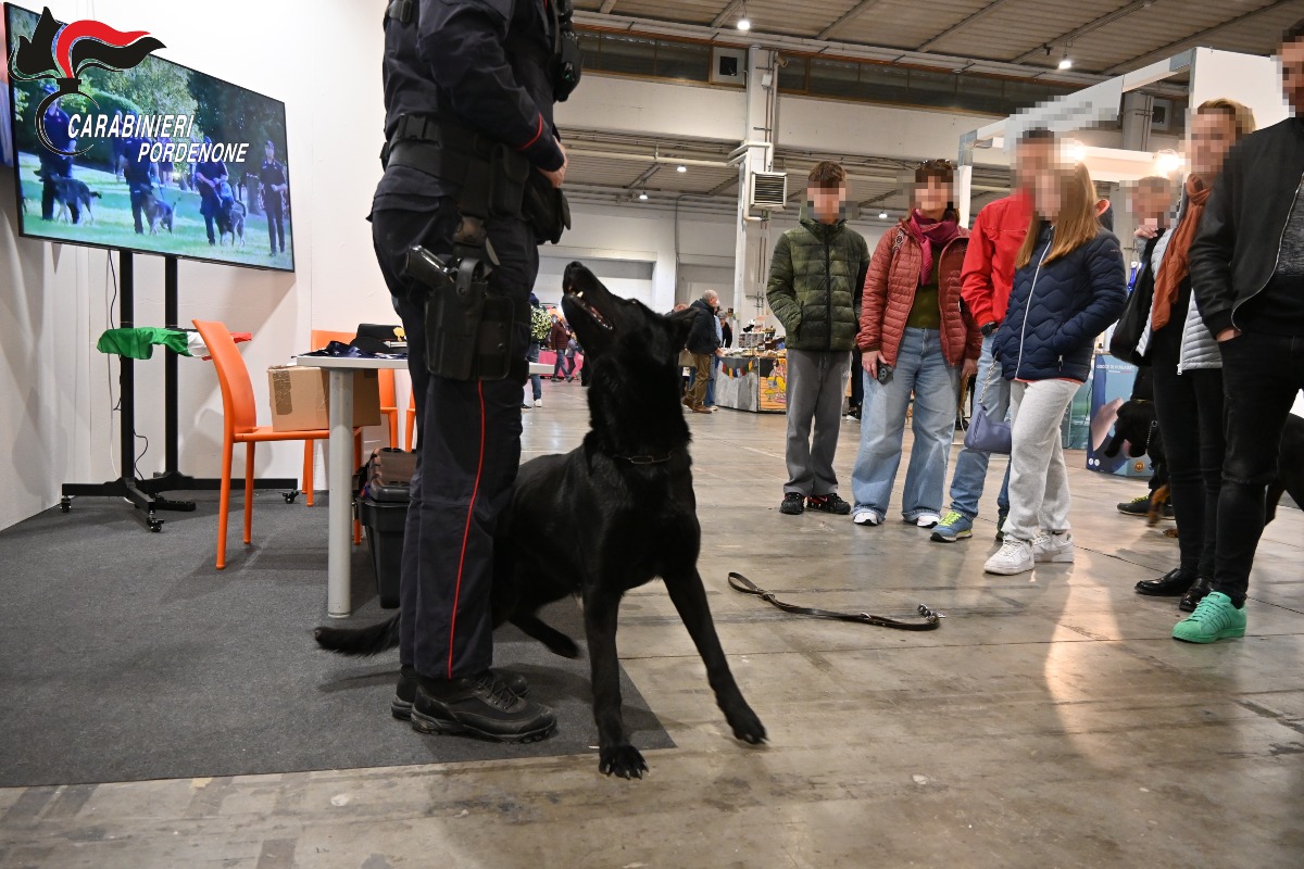 Galleria del 30/03/2026 08:33