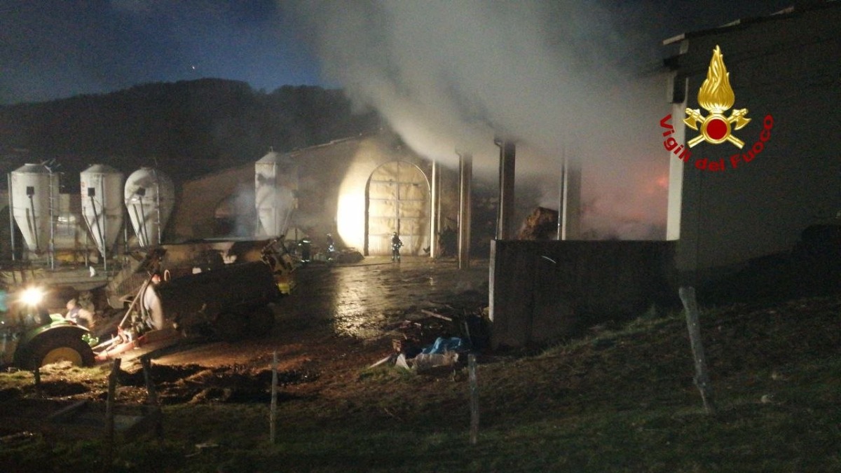 Fiamme alte: 5mila quintali di fieno in fumo, paura per gli animali | FOTO - 