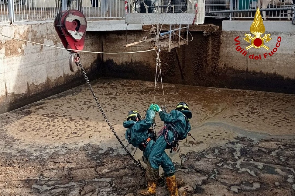 Bovina precipita in una vasca di liquami in un’azienda agricola | FOTO - 