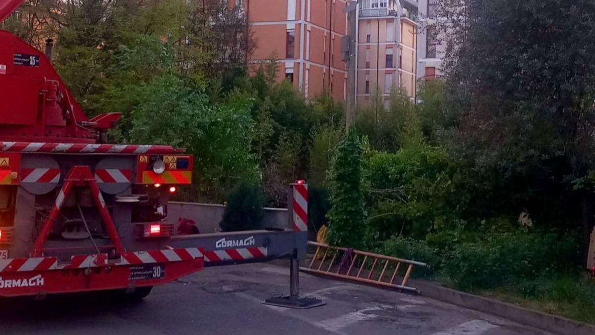 Albero gli crolla addosso: Vigile del fuoco muore a 38 anni - 