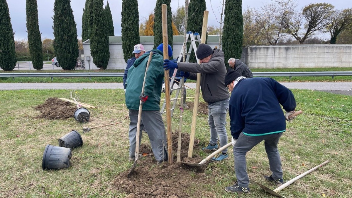 Staranzano, cittadini e Comune insieme per il verde: incontro con l’agronomo - 