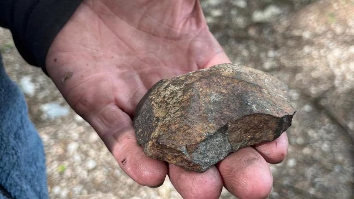 Cerca le chiavi col metal detector e fa una scoperta incredibile: una meteorite - Università di Camerino