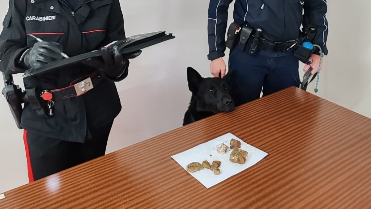 Unità cinofila verso la chiusura: polemica a Udine, “grave errore dell’amministrazione” - 