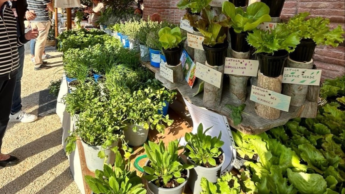 Villa dei Vescovi si trasforma in un giardino vivo: torna Herbarium | FOTO - 