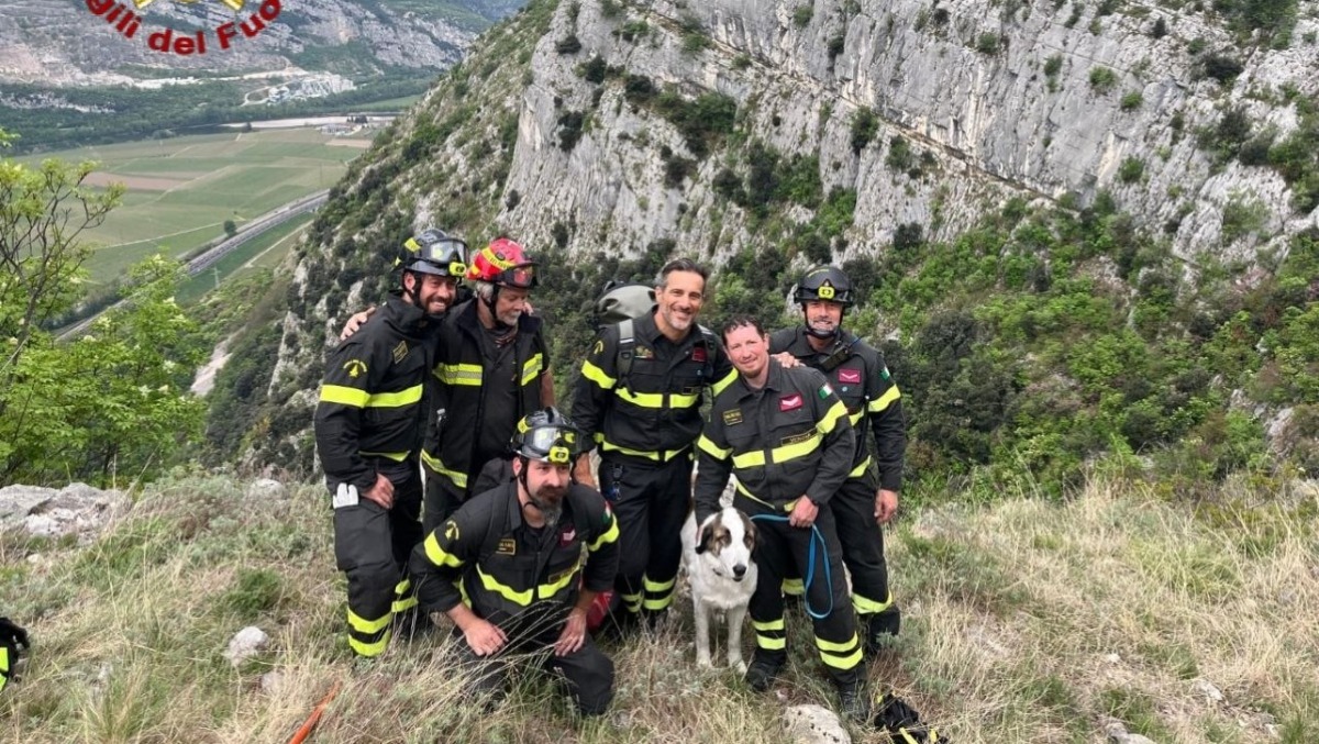 Cane bloccato in parete: ore di paure, poi il lieto fine - 