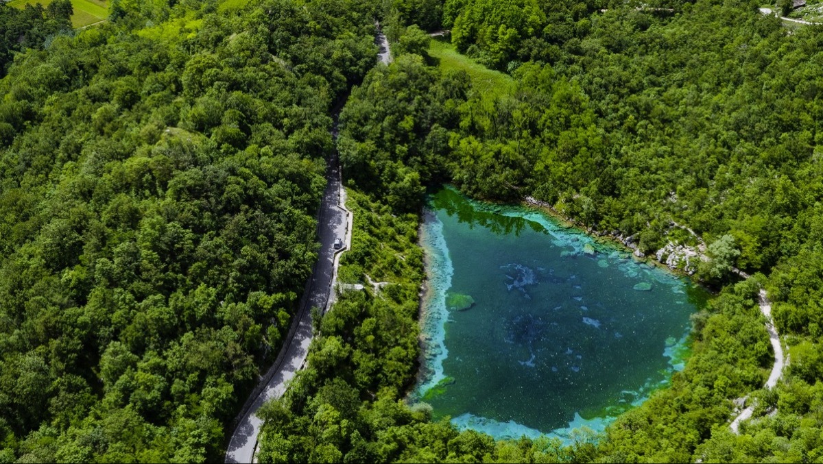 Tra anniversari ed escursioni: la Riserva di Cornino presenta il ricco calendario 2026 - 