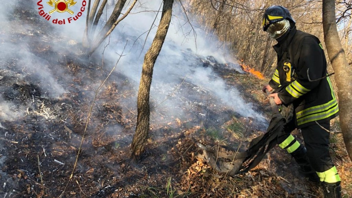 Incendi in Friuli, 3 roghi in poche ore: interventi tra Povoletto, Dignano e Manzano - 