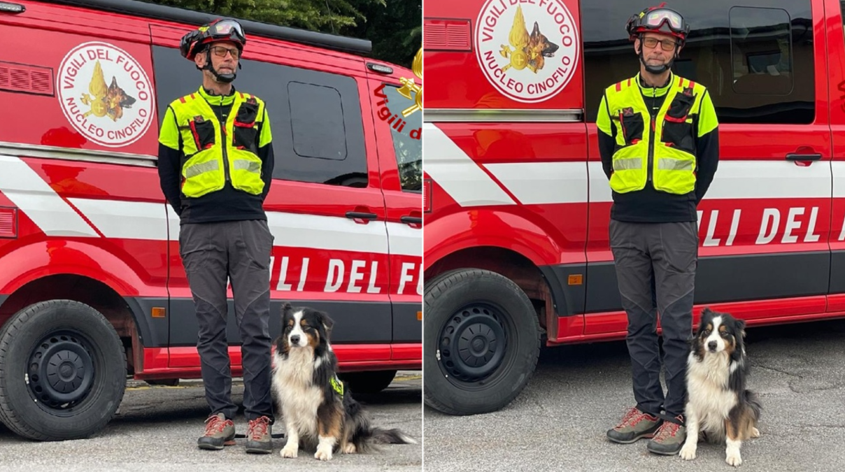 Ultimo turno per Lamù: il cane eroe dei Vigili del fuoco va in pensione - 