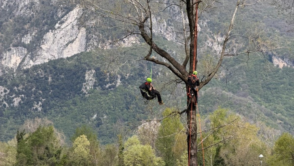Osoppo, addestramento del Soccorso Alpino Fvg per recuperi di parapendii sugli alberi - 