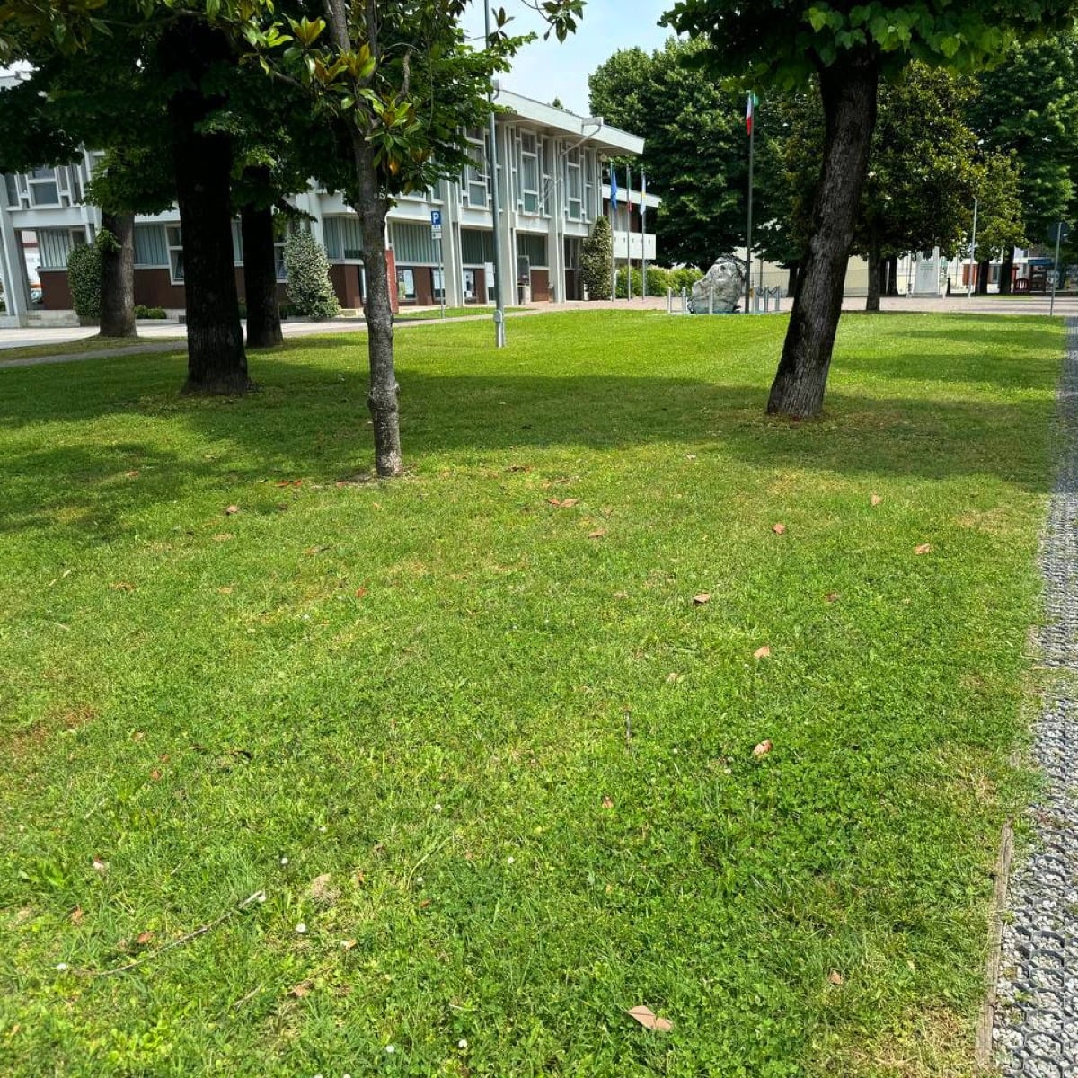 Fiume Veneto, al via gli sfalci: interventi settimanali e priorità decise sul campo