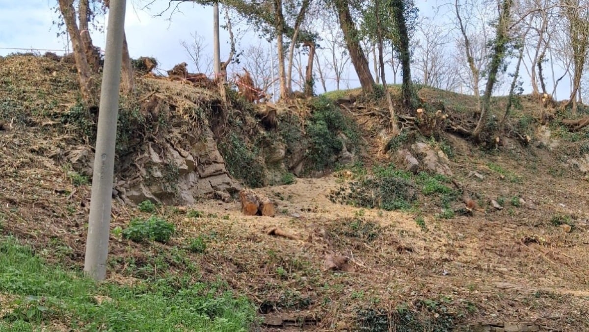 Buja, conclusa la prima fase di manutenzione del verde al Parco della Memoria e al Castello - 