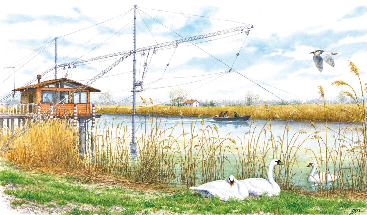 Jesolo, la laguna diventa arte: al JMuseo una mostra tra valli, biodiversità e clima | FOTO - 