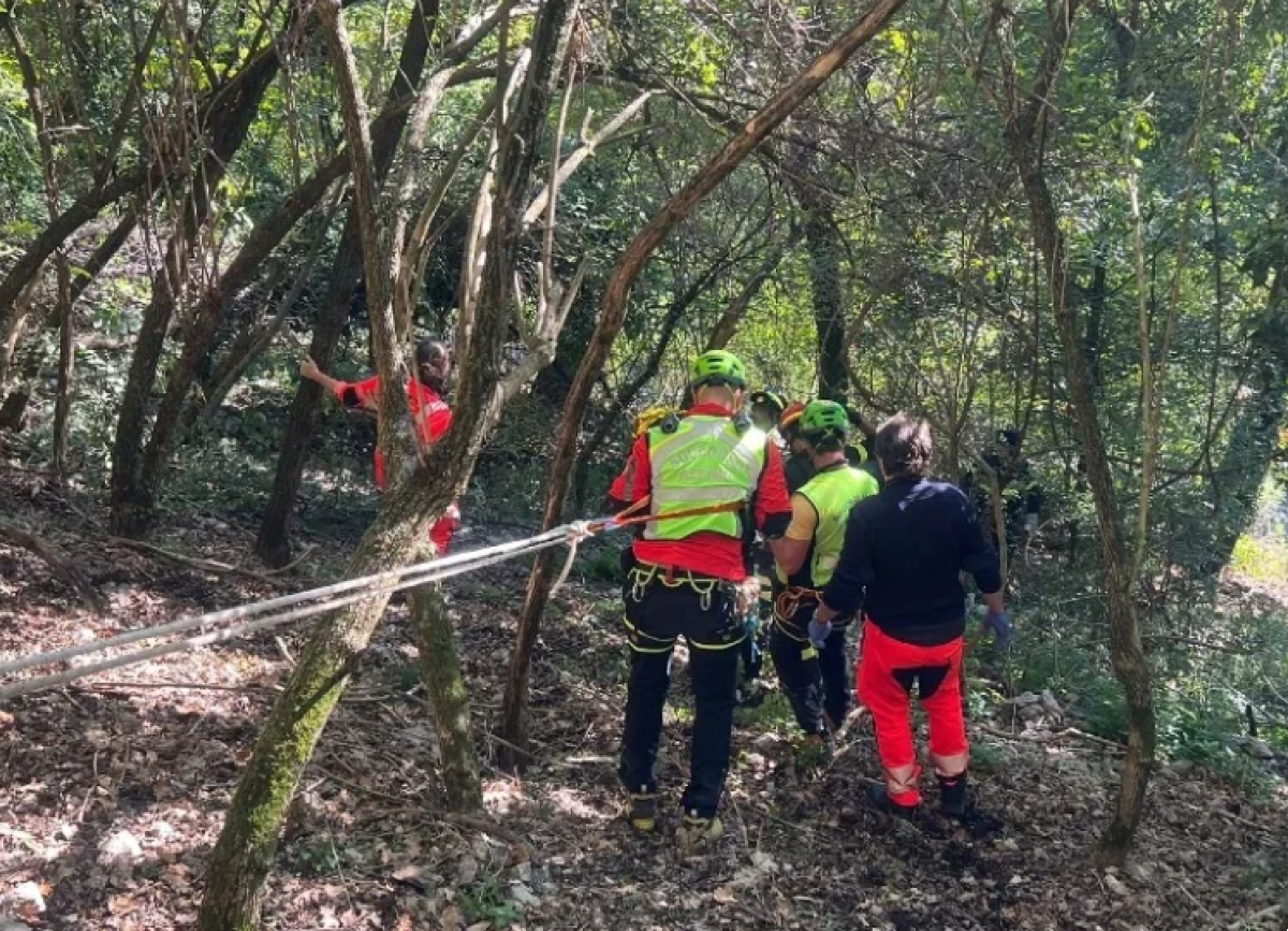 Esce per tagliare legna e non rientra: un familiare lo cerca e lo trova senza vita - 